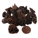 60pcs Natural Dried lotus pod Flowers Fruit for floral decor crafts DIY
