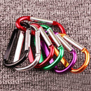 10x Type 8 Mountaineering Hook Carabiner D-Ring Key Chain Clip Outdoor Buc INW