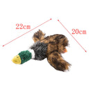 2-in-1 Fun Skin Stuffless Dog Squeaky Toys