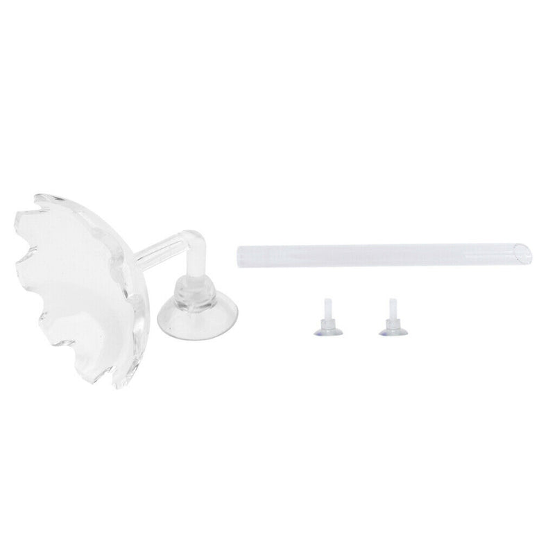 2x Shrimp Feeding Dish Bowl Acrylic Flower Design Aquarium Tray Water Food