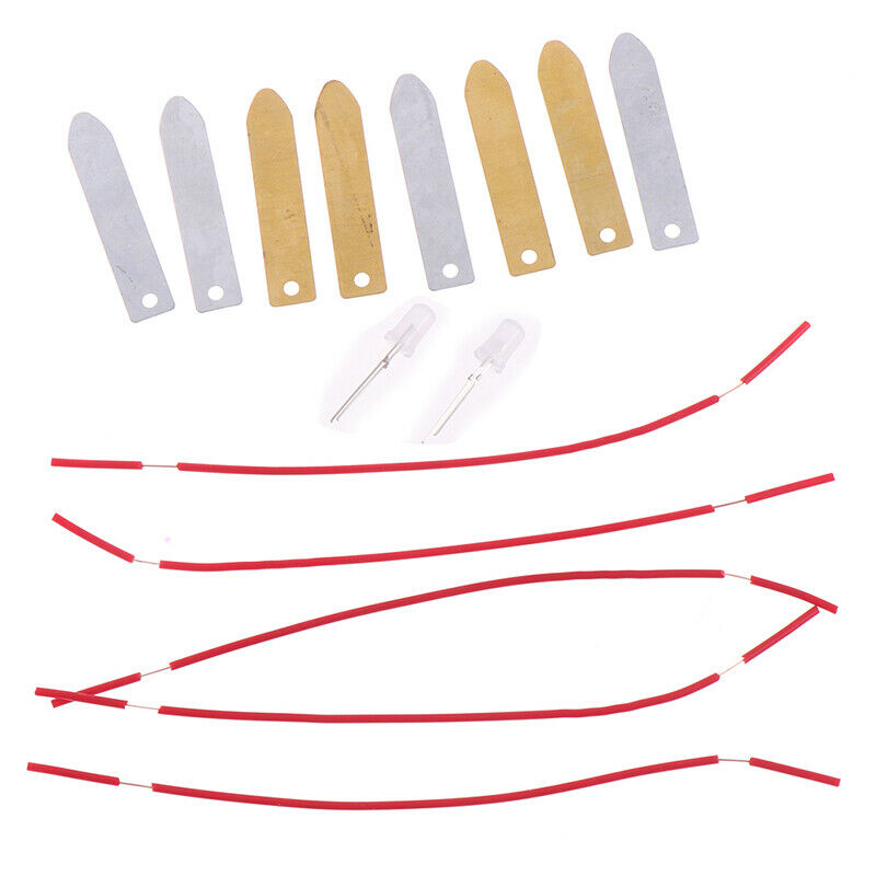 1 Set Children Bio Energy Science Kit Fruit Supply Electricity Experiments T -Q