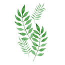 Frameless Ma Ye Green Leaf Oil Painting DIY Digital Coloring Wall Arts Pict T2A6