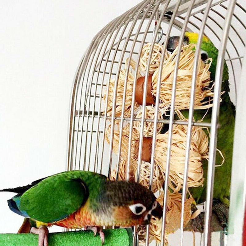 Pet Parrot Conure Cockatiel Parakeet Budgie Bird Chew Bites Swing Cages Toys