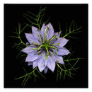 Flower DIY Round Diamond Painting Embroidery Set Cross Stitch Mosaic Art