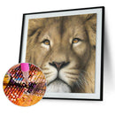 5D Lion Diamond Painting Embroidery DIY Cross Stitch Craft Home Decor