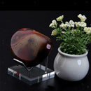 1pc Clear Acrylic Display Stand Crystal Cluster Mineral Specimens Rocks Holder