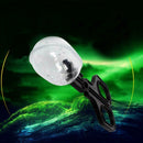 Reptile Terrarium Spider Cricket Clamp Aquarium Litter Cleaning Feeding N9Z8