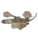 Decorative Ornament for Reptile Terrarium Vivarium Decor