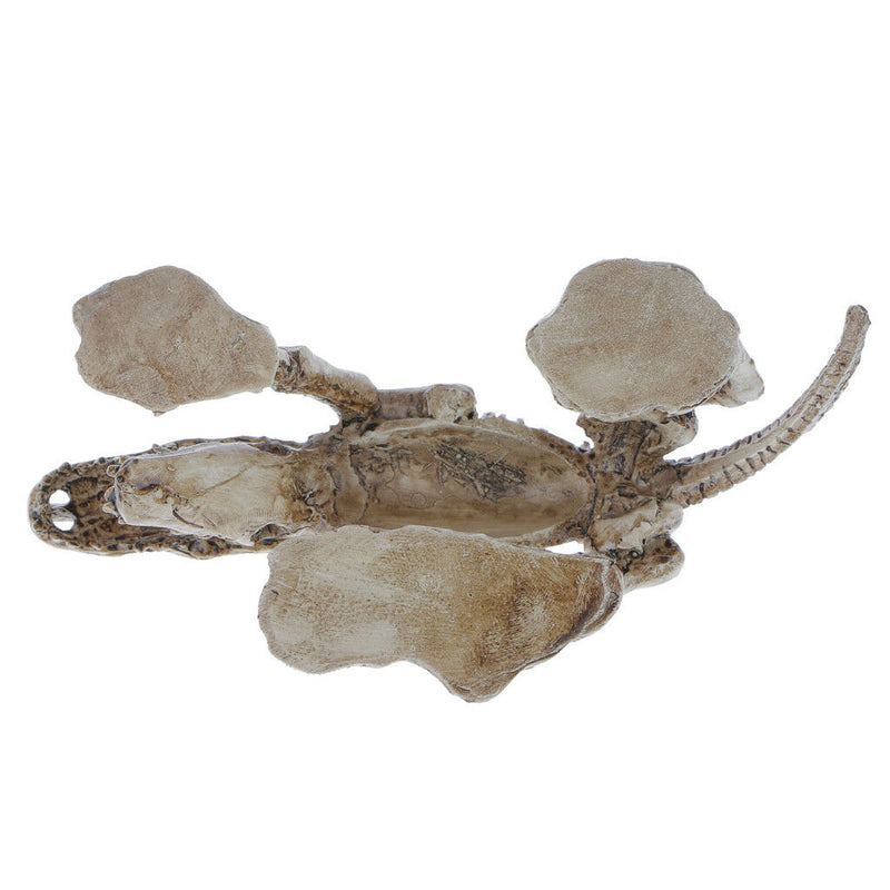 Decorative Ornament for Reptile Terrarium Vivarium Decor