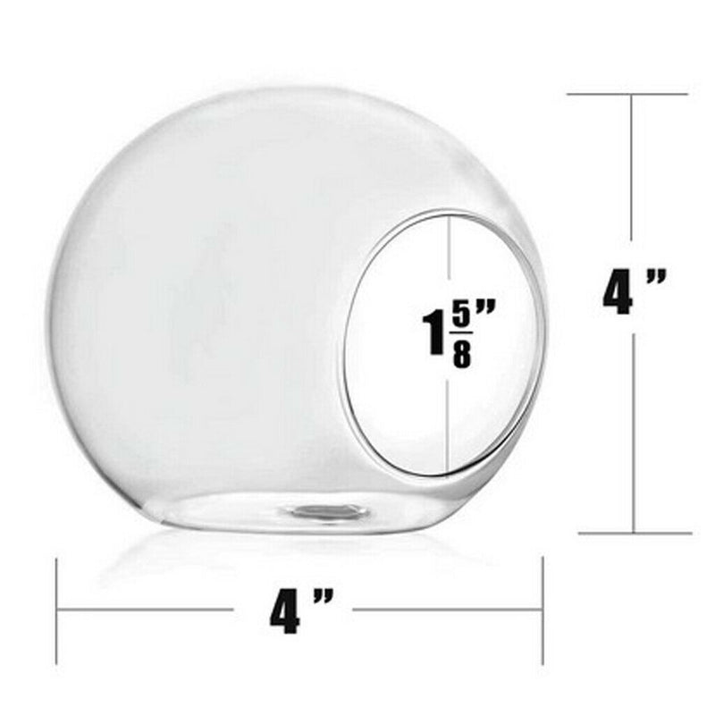8 x Wall Mounted Transparent Glass Hydroponic Vase Terrarium Container - Ball -