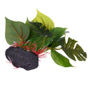 Aquarium Fish Tank Decor Artificial Water Grass Sink Wood Simulation Plant YPX