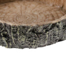 Multi-functional Food Bowl Reptiles Turtle Tortoise  Play Rest Type 2