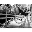 Zomei 37mm Infrared Filter 850NM Infra-Red X-RAY IR Filters for DSLR Cameras