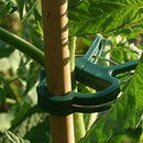 60 pcs. Green Plant Clips Plant Clamps Perfect for Plant Protection Support G1U9