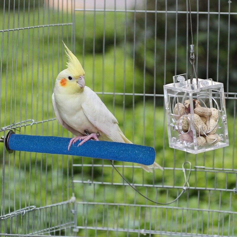 Parrot Perches Bird Stand Natural Bird Cage Toys For Small And Medium Birds