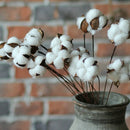 20Pcs 24 Inches Natural Dried Cotton Stem, Farmhouse Artificial Flower FilleP9B8