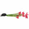 Solar Powered Energy Saving LED Color Changing Red Lily 4X Flowers Garden L S5T2