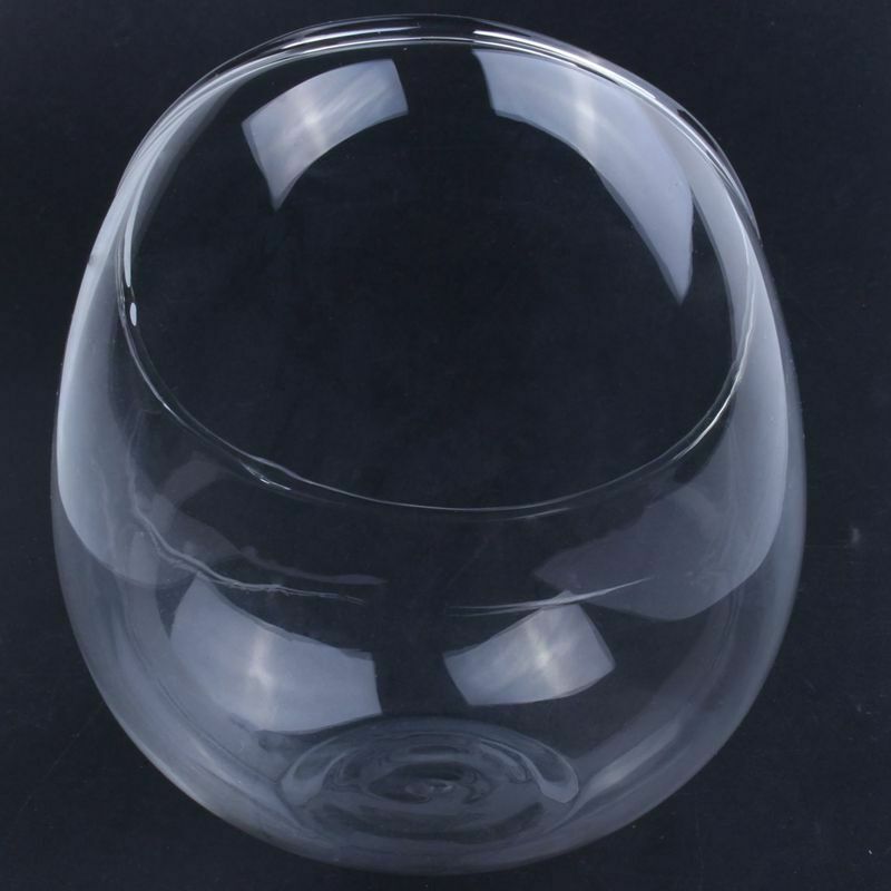 Creatively Glass Small Garden Cloche Plant Flower Cover Home Desktop Decora