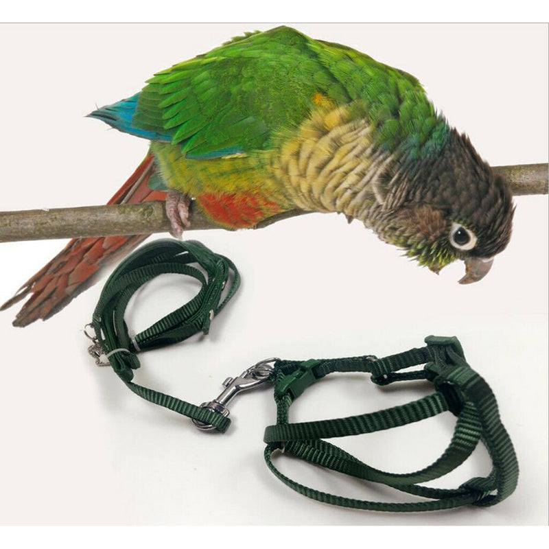 Adjustable Reptile Lizard Harness Leash Adjustable Light Soft Fashion L