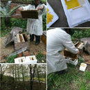 Portable Light Foam Beehive Box Beekeeping Equipment Beekeeping Bee Queen