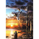 5D DIY Full Round Drill Diamond Painting Wild Duck Cross Stitch Mosaic Kit