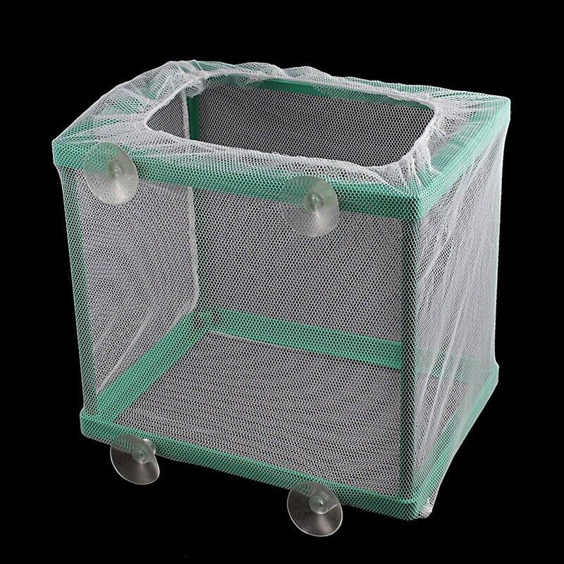 Breeding Hatchery Isolation Box Aquarium Net Breeder Bearer