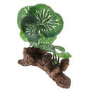 6x Reptile Plant Terrarium Plant Reptile Hiding Plant   Turtle Habitat