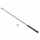 Black Car Roof AM/FM Antenna Mast + Base Kit Fit For Ford Focus 2000-2007 VQJ