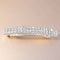 Automatic Rhinestone French Barrettes Large Hair Clip Hairpin Hair Accessory