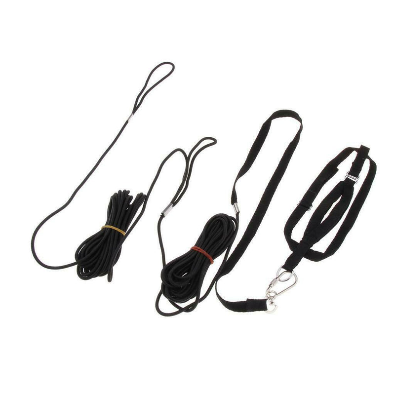 2pcs Outdoor Parrot Leash Adjustable Bird Harness For Small to Large Birds