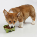 Pet Dog Cat Bowl Puppy Kitten Ceramics Bowl Anti Slip Cats Puppy Travel Fee