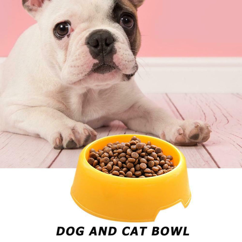 Plastic Pet Dog Cat Puppy Water / Food Feeder Light Single Bowl Dish Dispenser