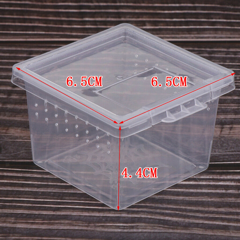 Set of 120 Reptile Food Feeding Container Turtle Feeding Box For Lizards