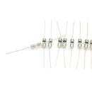 10pcs Glass Tube Fuse Axial Leads 3.6*10mm 1A Slow Blow FT