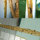 4x Eco friendly Insect Bug Fly Glue Paper Catcher Trap Strip Ribbon Tape St S0F5