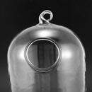 Hydroponic Wall Hanging Bubble Aquarium Glass Vase Fish Tank Plant Home Dec