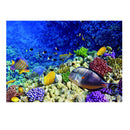Aquarium   Tank Background Poster Marine Decorative Wallpaper 122x61cm