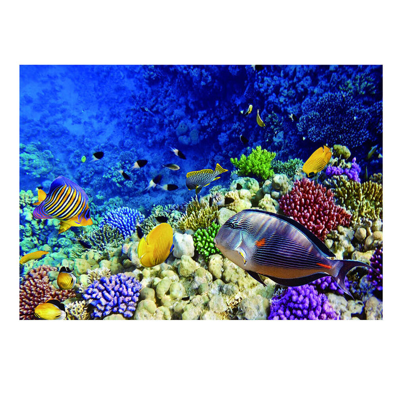 Aquarium   Tank Background Poster Marine Decorative Wallpaper 122x61cm
