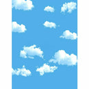 5x7FT Blue Sky Cloud vinyl Photography Backdrop Photo background Prop For S