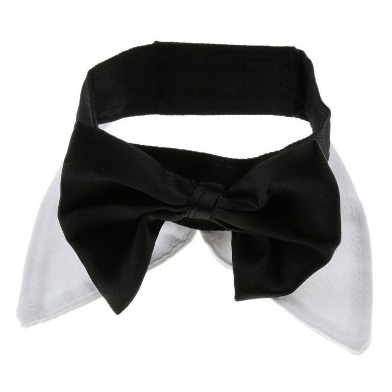 Adjustable Pet Dog Collar Special Designed Collars for Dogs Cats White L