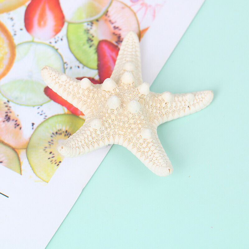 Fashion Lady Hair Clips Women Girls Starfish Sea Star Hairpins Beach Barrett Ew