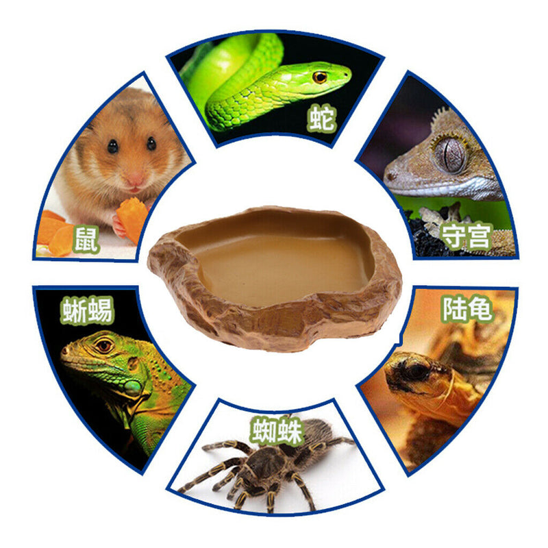 Reptile Water Drinker Dispenser Food Bowl