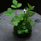 10Pcs Green Artificial Moss Balls Decorative Planters, Ideal for Vases, Table