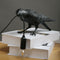 Shaped Reading Lamp Table Light Bedside Office Vanity Sconces Decor Black