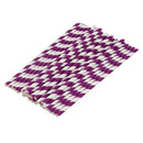 Paper Party Striped Straws Purple/White D3E9