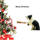 Dog Nail Grinder Professional 2-Speed Electric Rechargeable Pet Nail Trimme