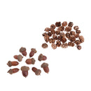 Mini Small Natural Dried Pine Cones Acorns Ornaments In Bulk Dried Flowers for