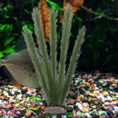 Plastic Artificial Grass Turtle Fish Tank Plant Viewing Aquarium Ornaments