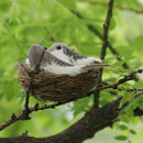 Artificial Foam Feathered Birds with Hay Nest & Eggs Ornaments, DIY Craft for