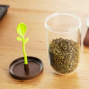 1X Jar Salt Shaker Spices Tea Leaves Coffee Sugar Storage Container with Spoon